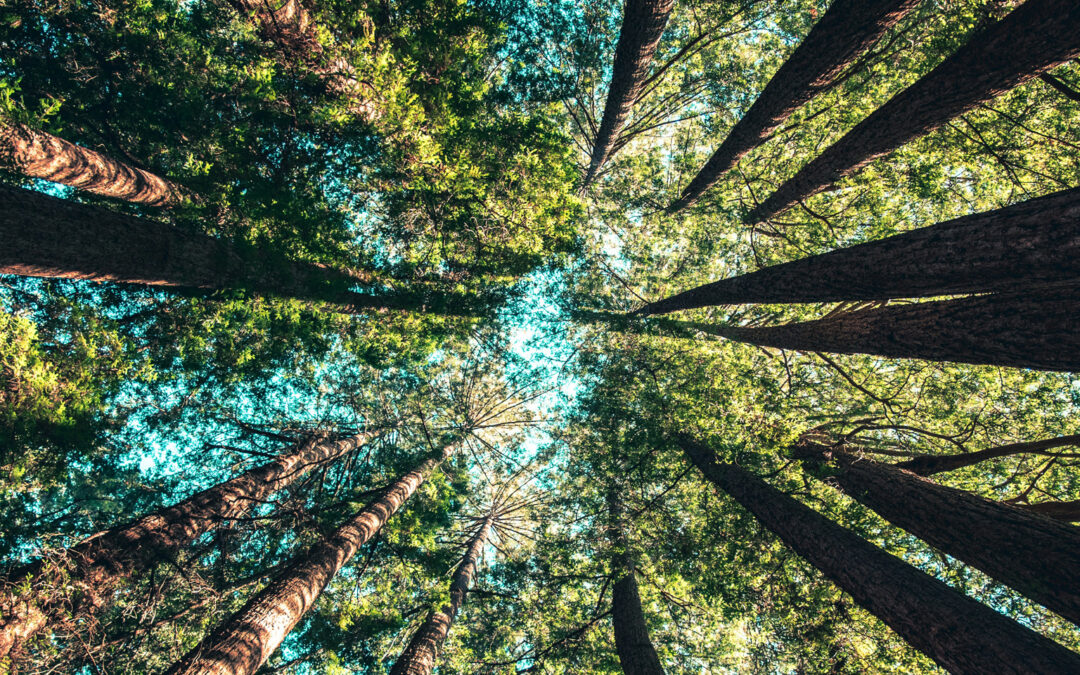 Travailler main dans la main avec la Nature