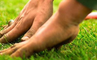 Service à la personne : un pilier de dignité et d’autonomie