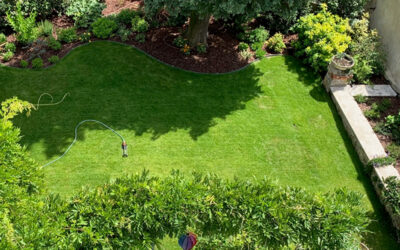 Quand un jardin morose devient un havre de paix sensoriel