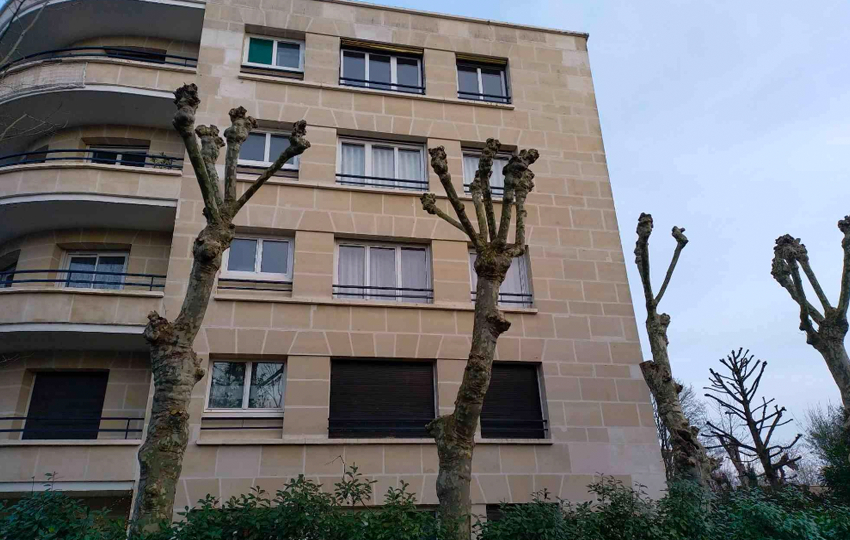 Préservation d&rsquo;un patrimoine arboré au Vésinet