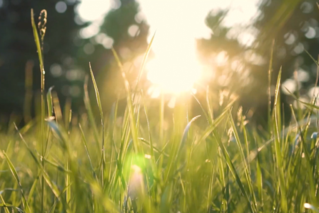 ADAPTATION-CLIMATIQUE